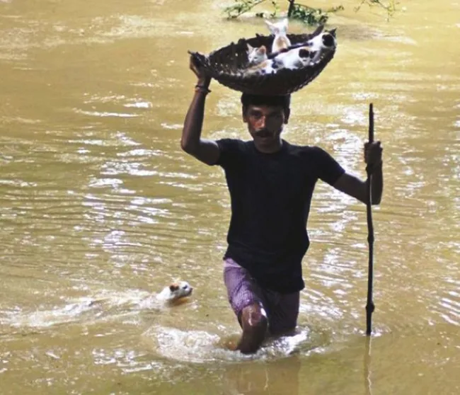 11+ Foto Penyelamatan Hewan ini Jadi Bukti Bahwa Masih Ada Lho Orang Peduli. Sudah Selayaknya, Kan? 16