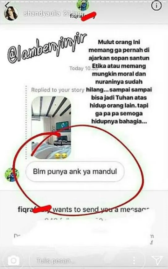 Shandy Aulia Dibilang Mandul, Warganet yang Belum Dikaruniai Anak Jadi Geram dengan Oknum Satu ini 6