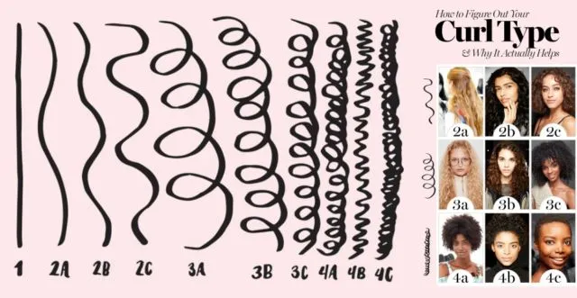 10+ Fakta Soal Rambut Afro yang Perlu Kamu Ketahui. Banyak yang Masih Penasaran Deh Kayaknya 13