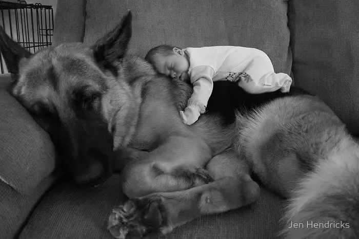 20+ Potret Kedekatan Bayi dengan Hewan Peliharaan. Inikah yang Dinamakan Cuteness Overload? 33