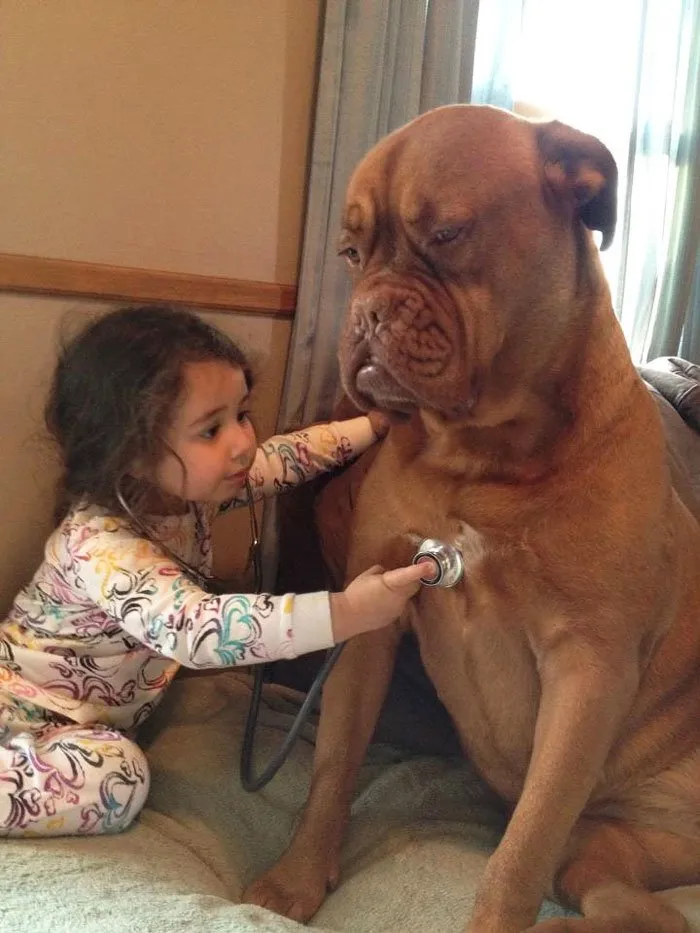 20+ Potret Kedekatan Bayi dengan Hewan Peliharaan. Inikah yang Dinamakan Cuteness Overload? 32