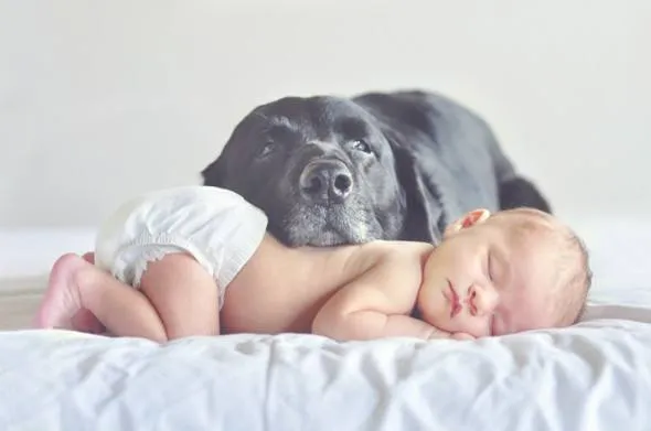 20+ Potret Kedekatan Bayi dengan Hewan Peliharaan. Inikah yang Dinamakan Cuteness Overload? 38