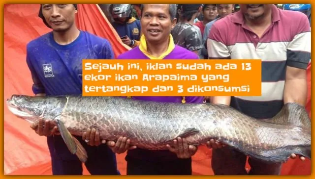Fans Meksiko Dituduh Rasis Sampai Pelantikan Presiden Asgardia, Baca Deh 10 Berita Viral Minggu Ini 14