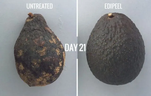 Sukses Bikin Buah & Sayur 2-5 Kali Lebih Awet, Ini 4 Fakta Soal Teknologi yang Curi Perhatian Dunia 6