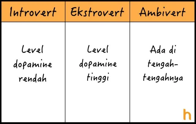 10 Perbedaan Introvert, Ekstrovert, dan Ambivert yang Perlu Kamu Tahu, Biar Nggak Asal Sebut 22