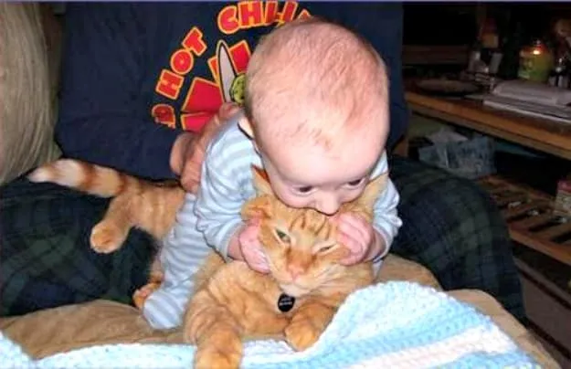 20+ Potret Kedekatan Bayi dengan Hewan Peliharaan. Inikah yang Dinamakan Cuteness Overload? 36