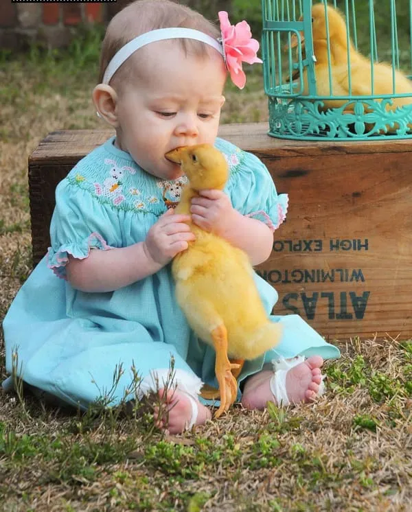 20+ Potret Kedekatan Bayi dengan Hewan Peliharaan. Inikah yang Dinamakan Cuteness Overload? 30