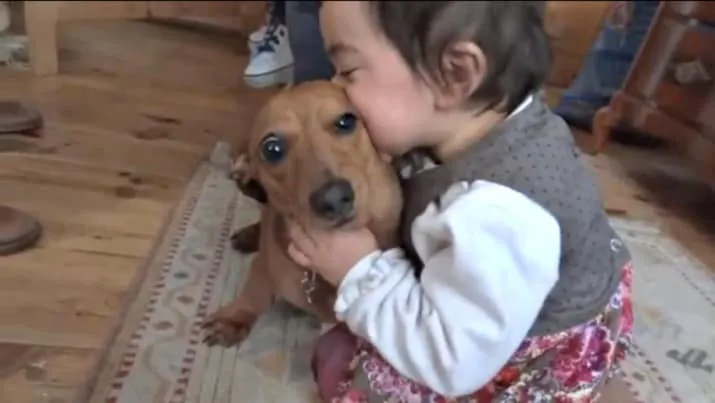 20+ Potret Kedekatan Bayi dengan Hewan Peliharaan. Inikah yang Dinamakan Cuteness Overload? 37