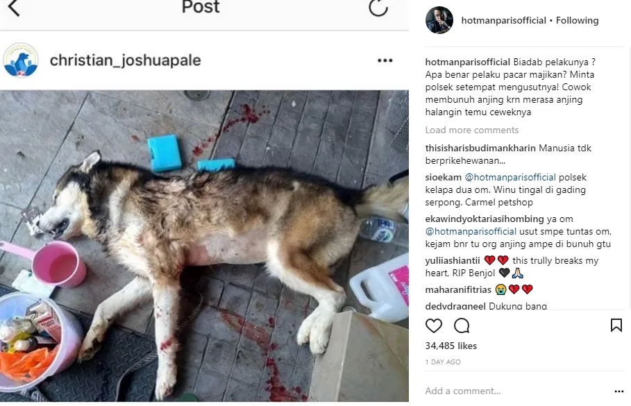 Cemburu Macam Apa yang Sampai Tega Membunuh Seekor Anjing? Cinta Nggak Sebuta itu, Sayang! 5