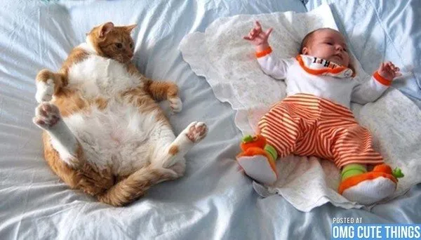 20+ Potret Kedekatan Bayi dengan Hewan Peliharaan. Inikah yang Dinamakan Cuteness Overload? 35