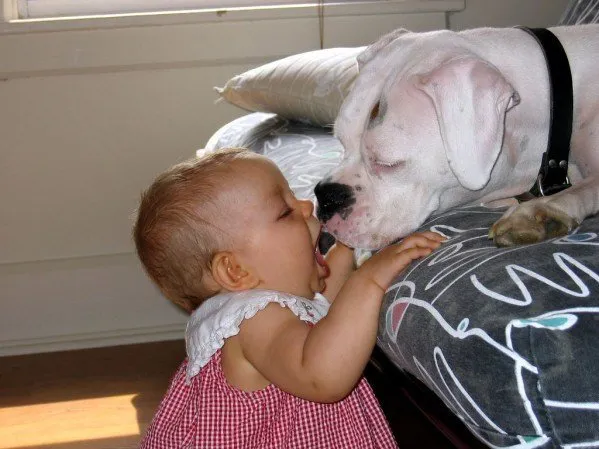 20+ Potret Kedekatan Bayi dengan Hewan Peliharaan. Inikah yang Dinamakan Cuteness Overload? 39