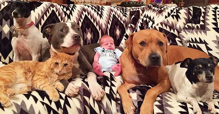 20+ Potret Kedekatan Bayi dengan Hewan Peliharaan. Inikah yang Dinamakan Cuteness Overload? 22