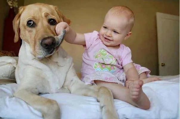 20+ Potret Kedekatan Bayi dengan Hewan Peliharaan. Inikah yang Dinamakan Cuteness Overload? 29