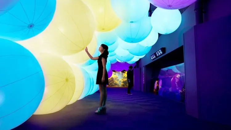 MORI Building Art Digital Museum di Jepang, Galeri Seni Digital Masa Depan yang Menakjubkan! 11