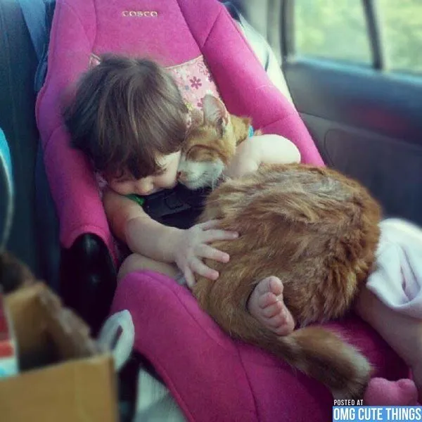 20+ Potret Kedekatan Bayi dengan Hewan Peliharaan. Inikah yang Dinamakan Cuteness Overload? 23