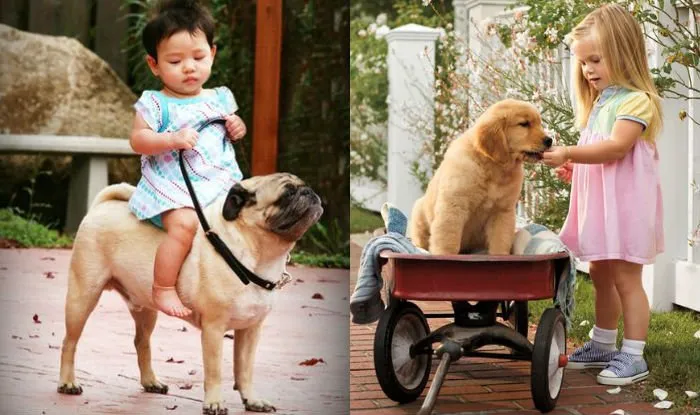 20+ Potret Kedekatan Bayi dengan Hewan Peliharaan. Inikah yang Dinamakan Cuteness Overload? 40
