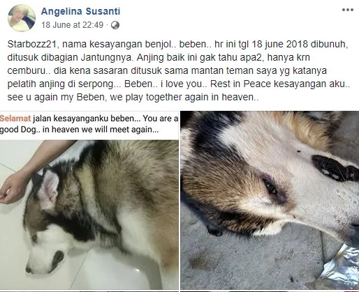 Cemburu Macam Apa yang Sampai Tega Membunuh Seekor Anjing? Cinta Nggak Sebuta itu, Sayang! 4