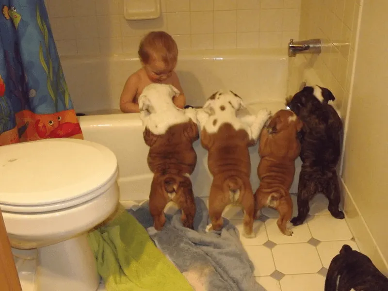 20+ Potret Kedekatan Bayi dengan Hewan Peliharaan. Inikah yang Dinamakan Cuteness Overload? 25