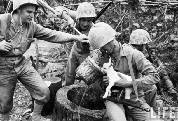 11+ Foto Penyelamatan Hewan ini Jadi Bukti Bahwa Masih Ada Lho Orang Peduli. Sudah Selayaknya, Kan? 24