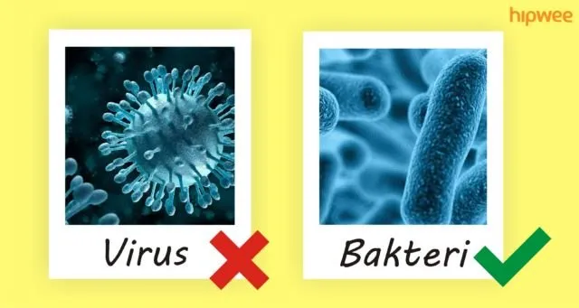 6 Kesalahan yang Paling Sering Dilakukan Orang Saat Minum Antibiotik. Yuk Jangan Diulangi Lagi! 9
