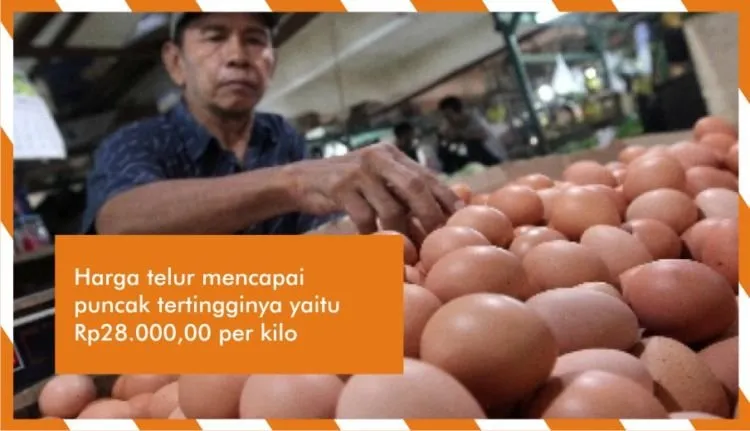 12 Berita Penting Minggu Ini. Dari Aksi Penyelamatan Korban Gua Thailand hingga Kisruh PPDB 24