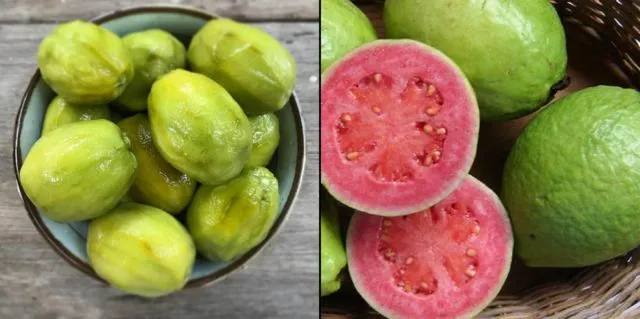 Kalender Musim Buah di Indonesia, Berbagai Jadwal Panen Buah 15