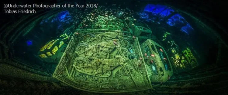 Daftar Foto Pemenang Underwater Photography of The Year 2018. Foto Bawah Laut Selalu Menakjubkan ya! 11