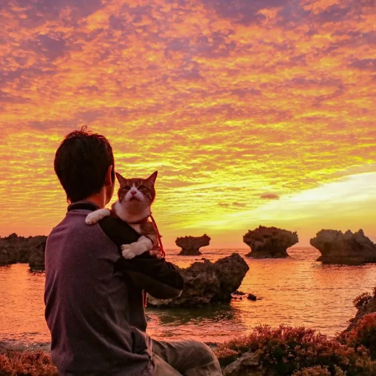 Daikichi dan Fuku-Chan, Duet Kucing Asal Jepang yang Suka Traveling. Imut dan Unyu Banget Sih 12