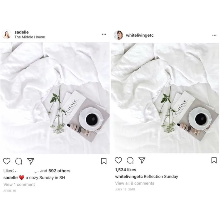 Selebgram Ini Menghapus Foto-foto yang Ternyata Hasil Plagiat. Waduh, Banyak Banget yang Dicomot! 9