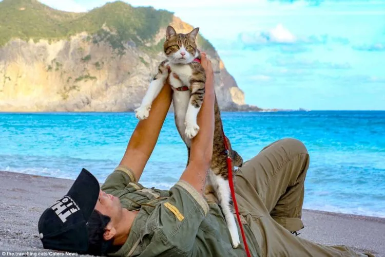 Daikichi dan Fuku-Chan, Duet Kucing Asal Jepang yang Suka Traveling. Imut dan Unyu Banget Sih 14