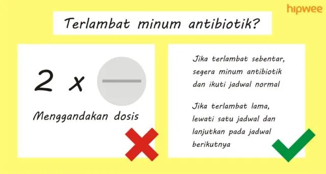 6 Kesalahan yang Paling Sering Dilakukan Orang Saat Minum Antibiotik. Yuk Jangan Diulangi Lagi! 12