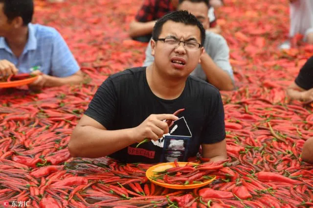 8 Potret Keseruan Lomba Makan Cabai di Cina. Sampai Pakai Berendam di Lautan Cabai Segala 11