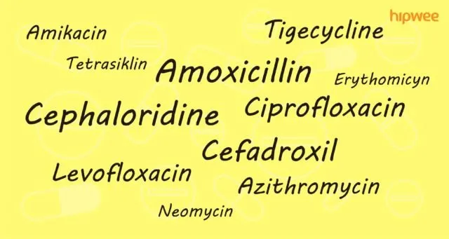 6 Kesalahan yang Paling Sering Dilakukan Orang Saat Minum Antibiotik. Yuk Jangan Diulangi Lagi! 8
