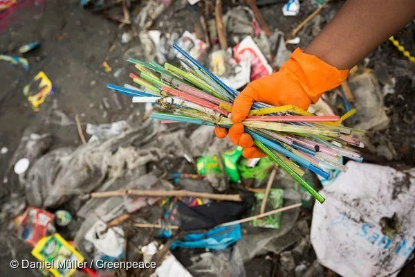 Hidup Tanpa Plastik? Sebenarnya Bisa Banget Lho! Lihat Aja 6 Tempat di Mana Plastik Sudah Dilarang 9
