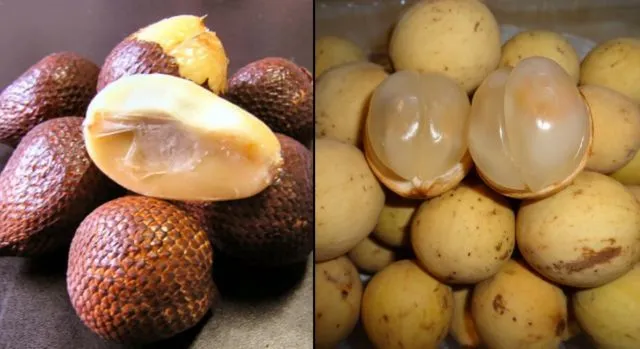 Kalender Musim Buah di Indonesia, Berbagai Jadwal Panen Buah 16
