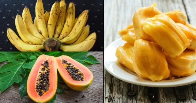 Kalender Musim Buah di Indonesia, Berbagai Jadwal Panen Buah 23