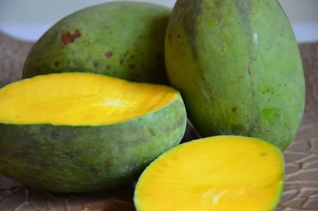 Kalender Musim Buah di Indonesia, Berbagai Jadwal Panen Buah 20