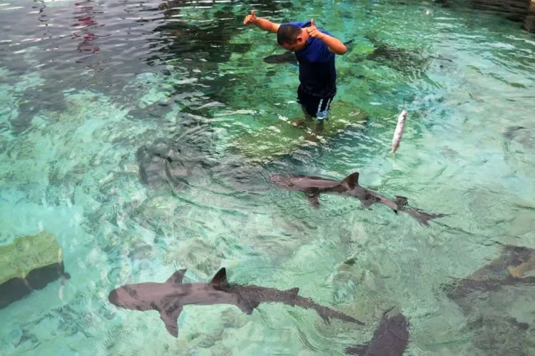 Panduan Liburan ke Karimunjawa, Surga yang Tertinggal di Pulau Jawa. Kapan Kamu ke Sana? 10