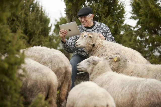 10 Potret Perjalanan Estonia Jadi Negara Paling Digital & Modern Sedunia. Banyak yang Nggak Tahu Sih 13