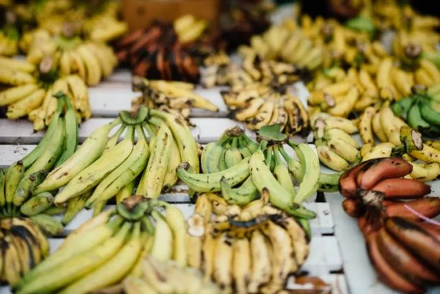 Pisang Bisa Hilang Selamanya dari Dunia. Menurut Ahli, Buah Ini Sedang Terancam Penyakit Panama 11