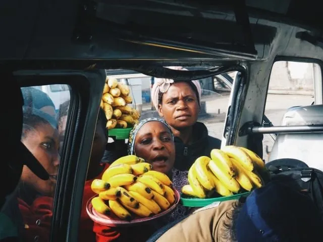 Pisang Bisa Hilang Selamanya dari Dunia. Menurut Ahli, Buah Ini Sedang Terancam Penyakit Panama 10