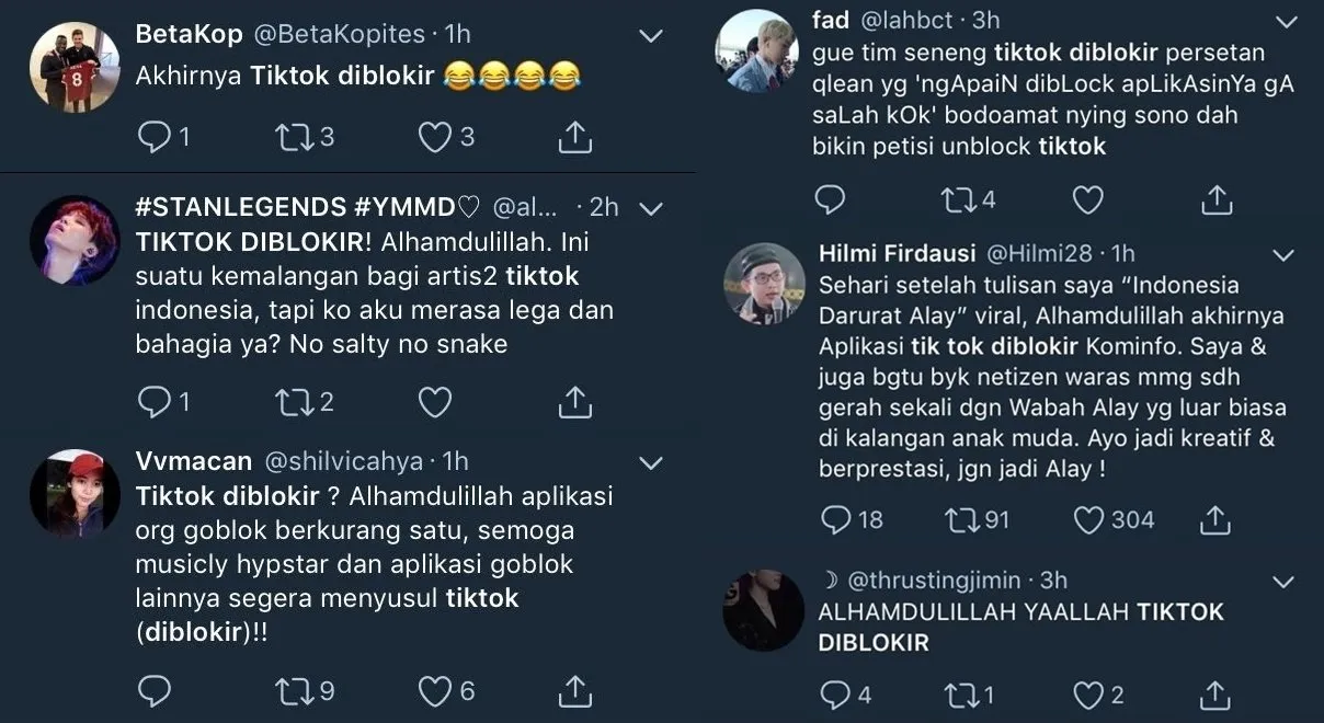 Sepak Terjang Aplikasi Tik Tok Berujung Pemblokiran, Kini Muncul Opini Pembelaan. Serba Salah, Ya~ 9