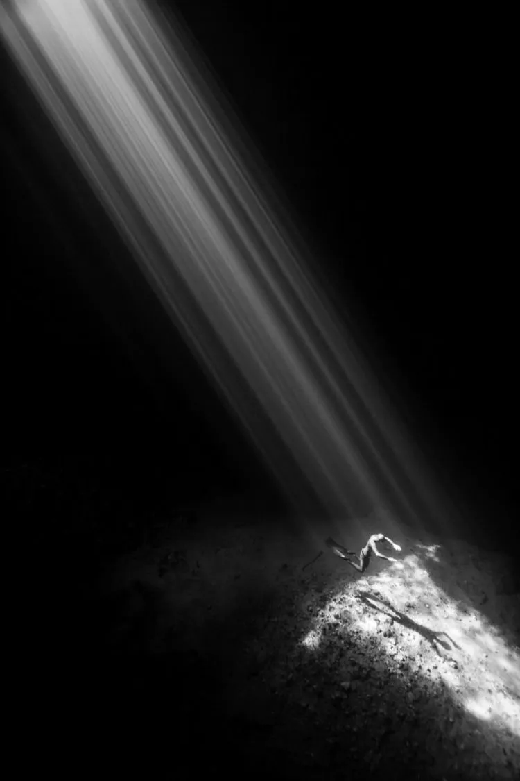 Daftar Foto Pemenang Underwater Photography of The Year 2018. Foto Bawah Laut Selalu Menakjubkan ya! 14