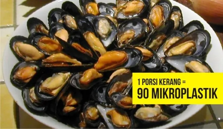 9 Makanan & Minuman yang Mulai Terserang Mikroplastik. Bisa Jadi Kita Makan Plastik Tiap Harinya Lho 10