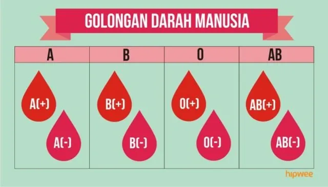 10 Fakta Pentingnya Tahu Tipe Rhesus Darah Kalian, Bukan Cuma Golongan Darah ABO Doang 11