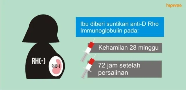10 Fakta Pentingnya Tahu Tipe Rhesus Darah Kalian, Bukan Cuma Golongan Darah ABO Doang 20