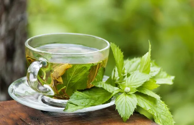 7 Rekomendasi Teh Herbal yang Ampuh Atasi Masalah Kesehatan Ringan, dari Kram Haid Sampai Sakit Tenggorokan 9