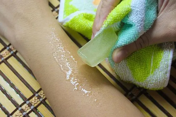 Aloe Vera Disebut-sebut Ampuh Atasi Sunburn. Fakta atau Hanya Sebatas Sugesti Saja? 13