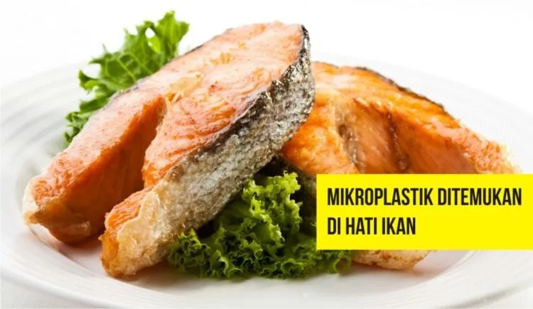 9 Makanan & Minuman yang Mulai Terserang Mikroplastik. Bisa Jadi Kita Makan Plastik Tiap Harinya Lho 11
