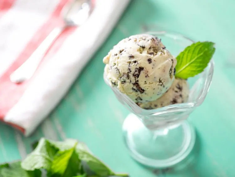 10+ Khasiat Rahasia Daun Spearmint yang Bisa Kamu Manfaatkan. Harga Murah tapi Manfaatnya Segudang! 22